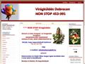 http://www.anitaviragbolt.com ismertető oldala